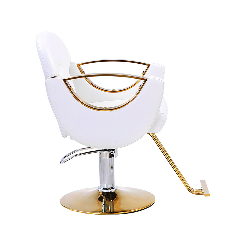 HZ8765BZ / HZ8765WZ / HZ8765PZ / HZ8765Z Lehké stylingové křeslo do salonu