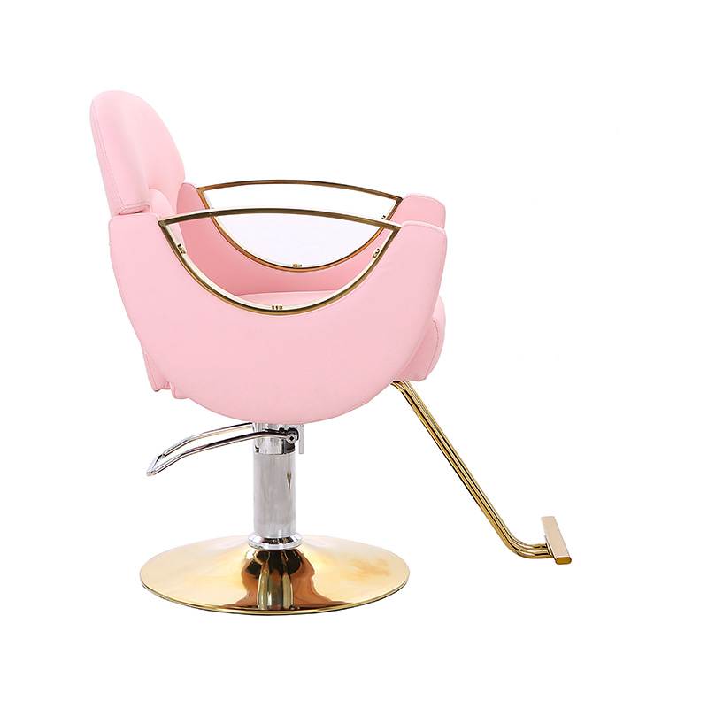 HZ8765BZ / HZ8765WZ / HZ8765PZ / HZ8765Z Lehké stylingové křeslo do salonu